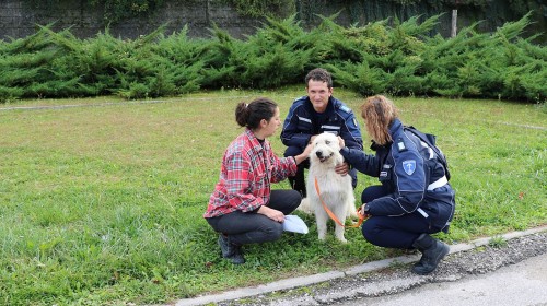 polizia municipale 2