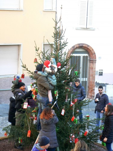 albero_bimba