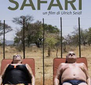 safari