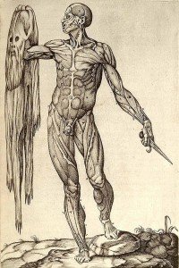  "Anatomia del corpo humano" di Juan Valverde de Amusco (Roma, 1559)