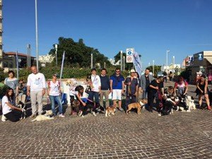 riccione_petweek_22092