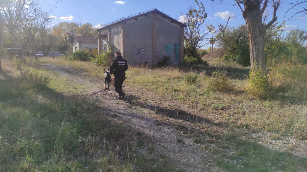 Polizia locale Rimini